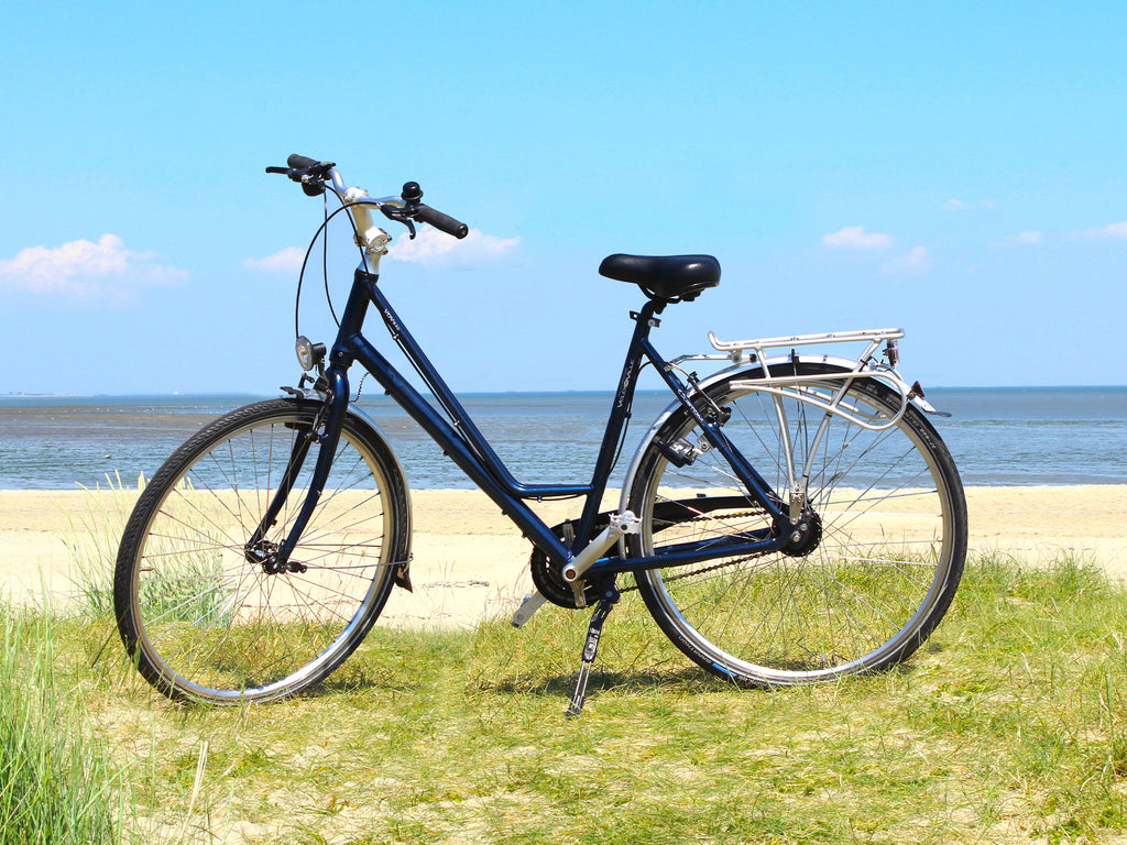 fahrradlenker tourenrad TOURENRAD 8 GANG – Leksus Fahrradvermietung