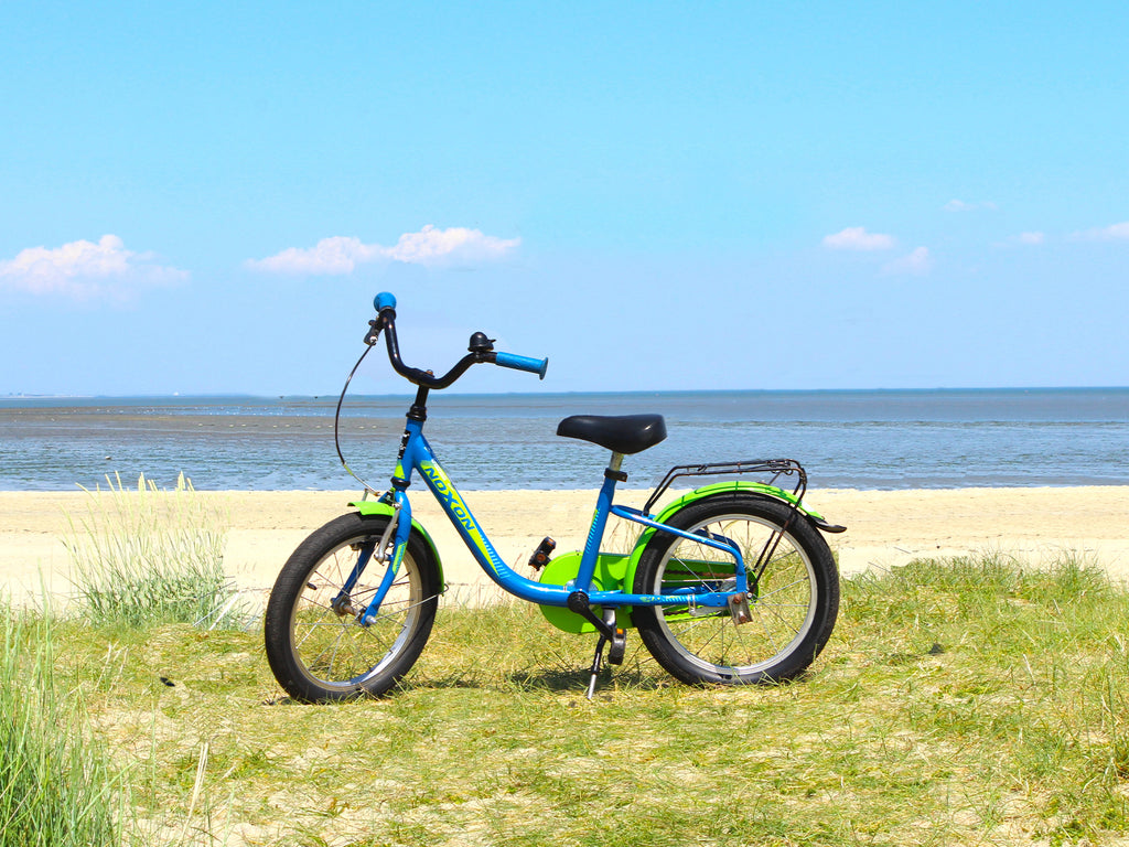 kinderrad 16 KINDERRAD 16" – Leksus Fahrradvermietung